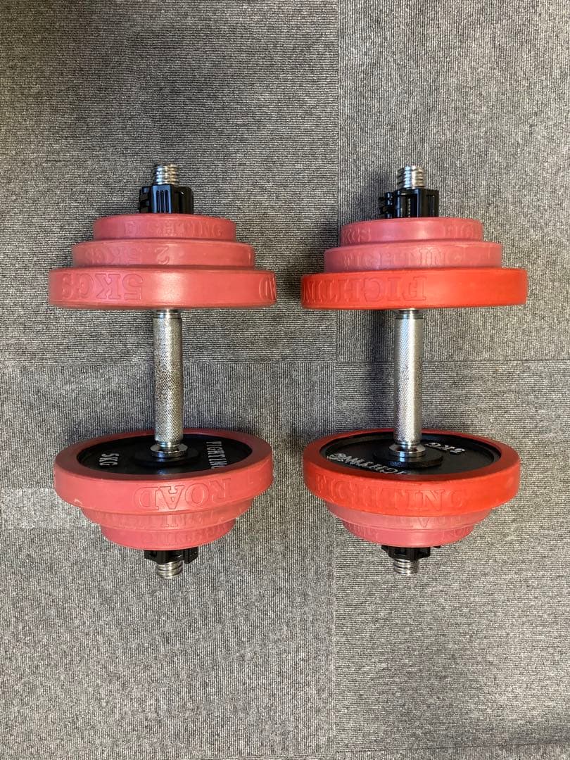 引き取り限定　ファイティングロード社製ホームジム