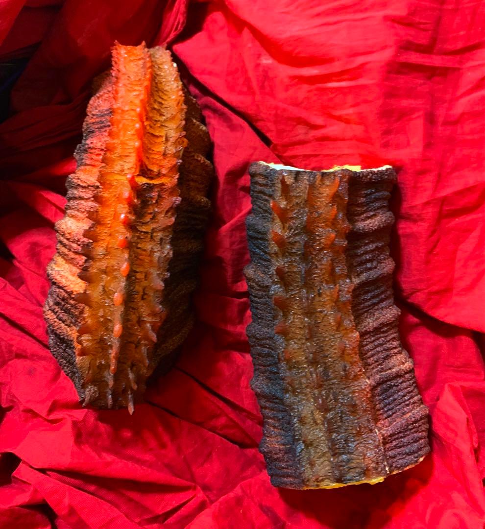 タナカ・STUDIO ゴジラ 2016 第4形態 シン・ゴジラ フィギュア