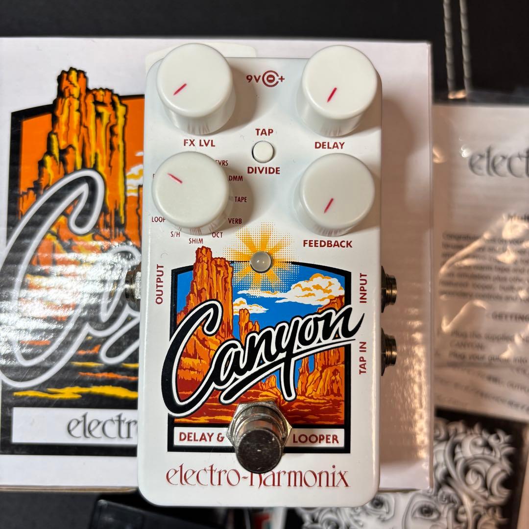 electro-harmonix Canyon ディレイ ・ルーパー 国内正規品
