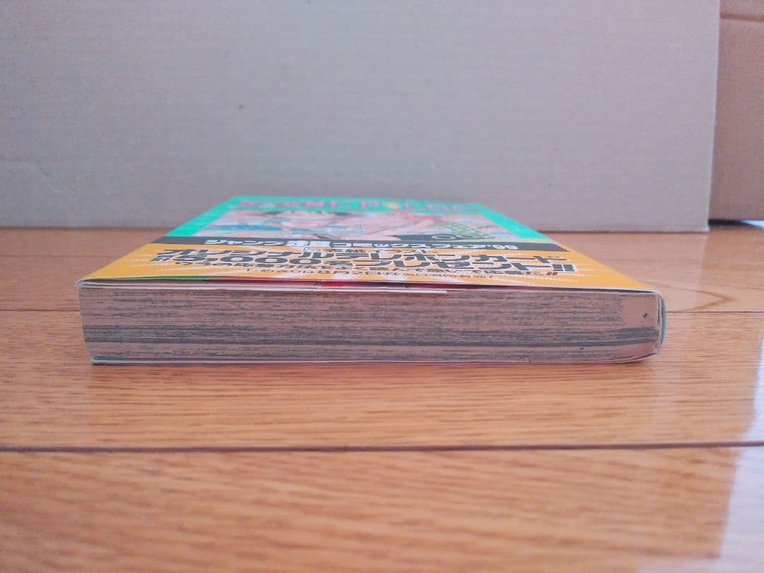 ONE PIECE 9巻 初版 チラシあり ワンピース