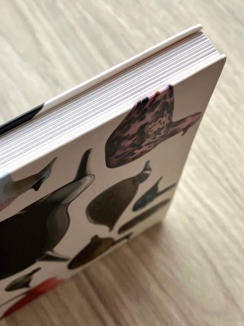 バード作品集 BIRDS BY TOIKKA - TOIKAN LINNUT