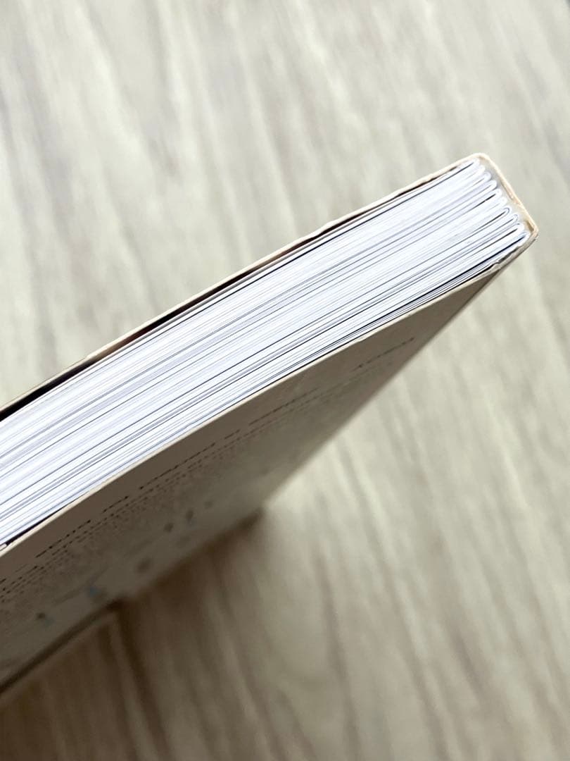 バード作品集 BIRDS BY TOIKKA - TOIKAN LINNUT