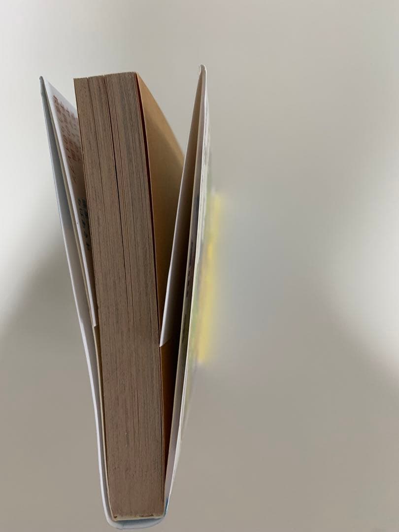 【希少】ドラゴンボール1巻 初版 【美品】