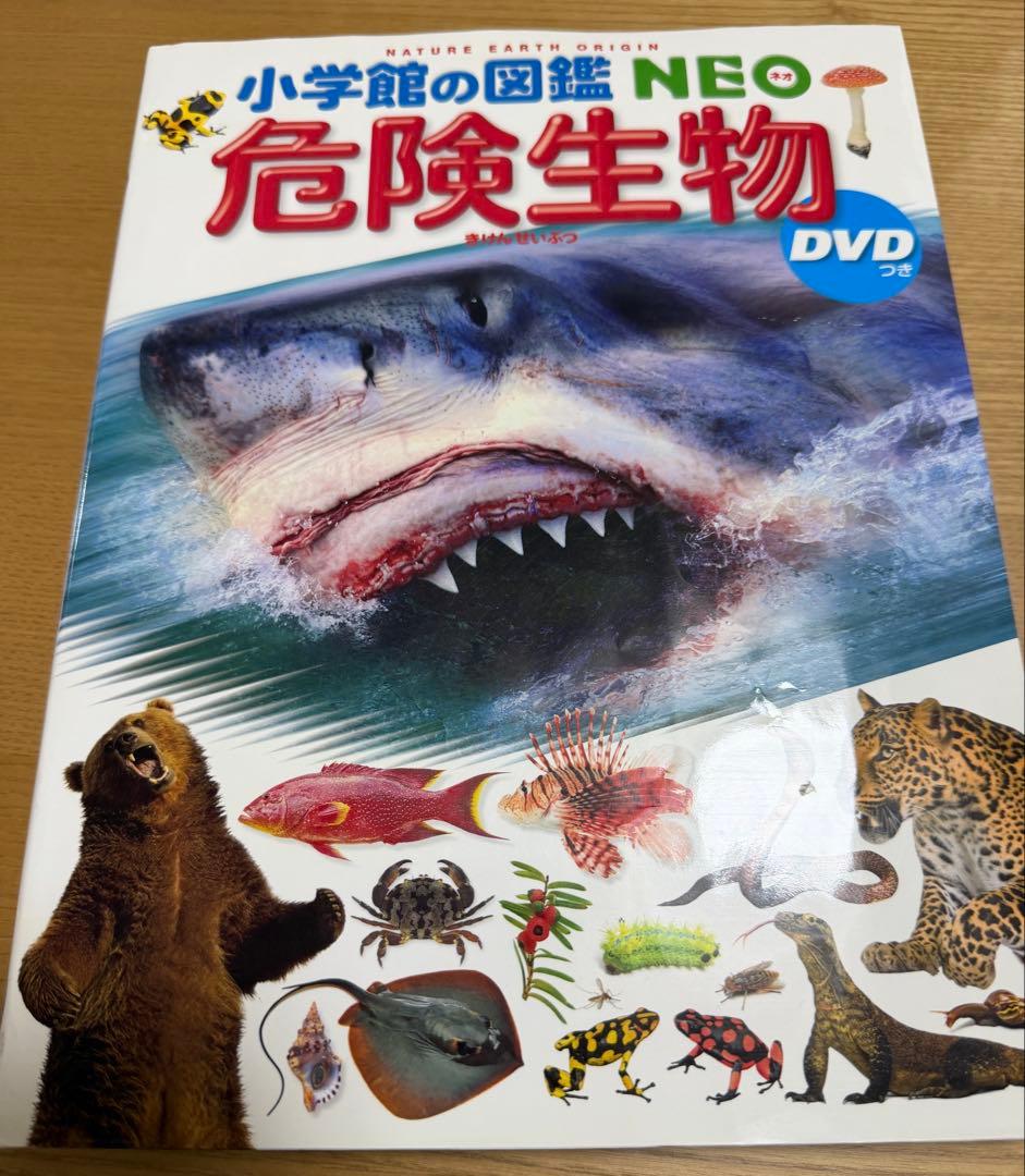 小学館の図鑑NEO 11冊セット　DVD欠品