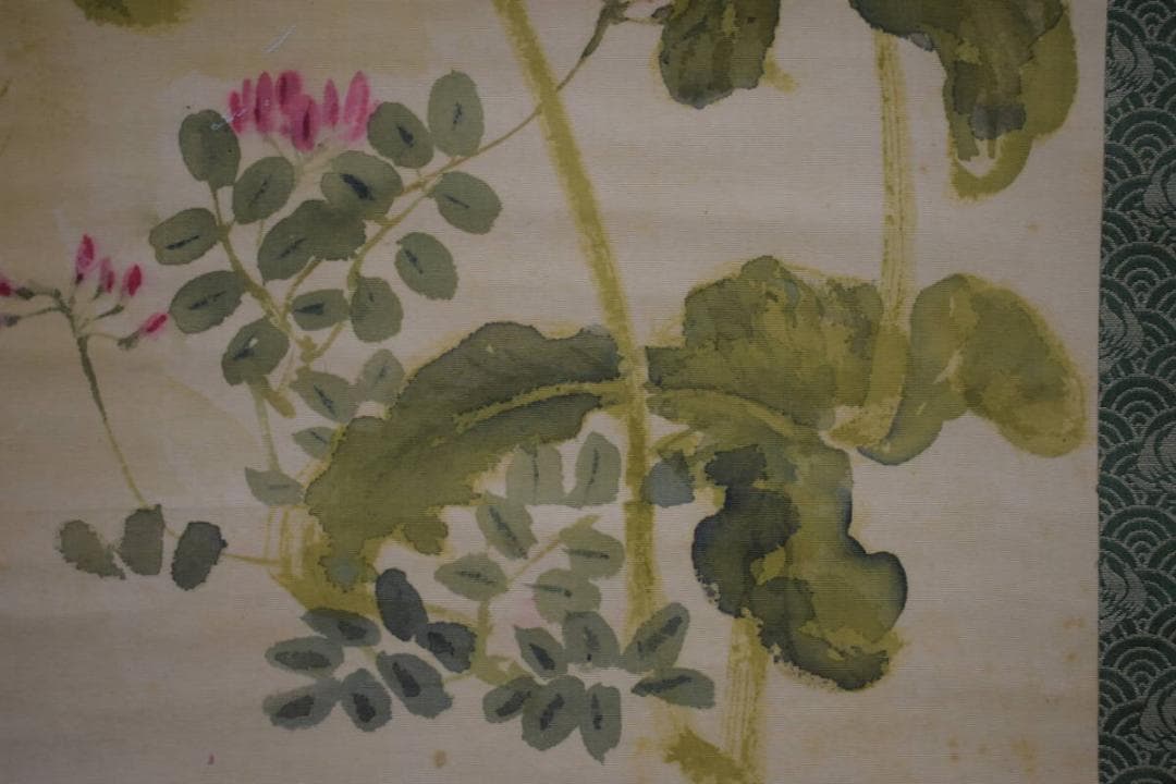 真作/藤井松山/塢午晴/菜の花/小禽図/桐共箱付/布袋屋掛軸HJ-48