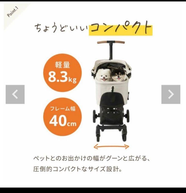 エアバギー wiz x