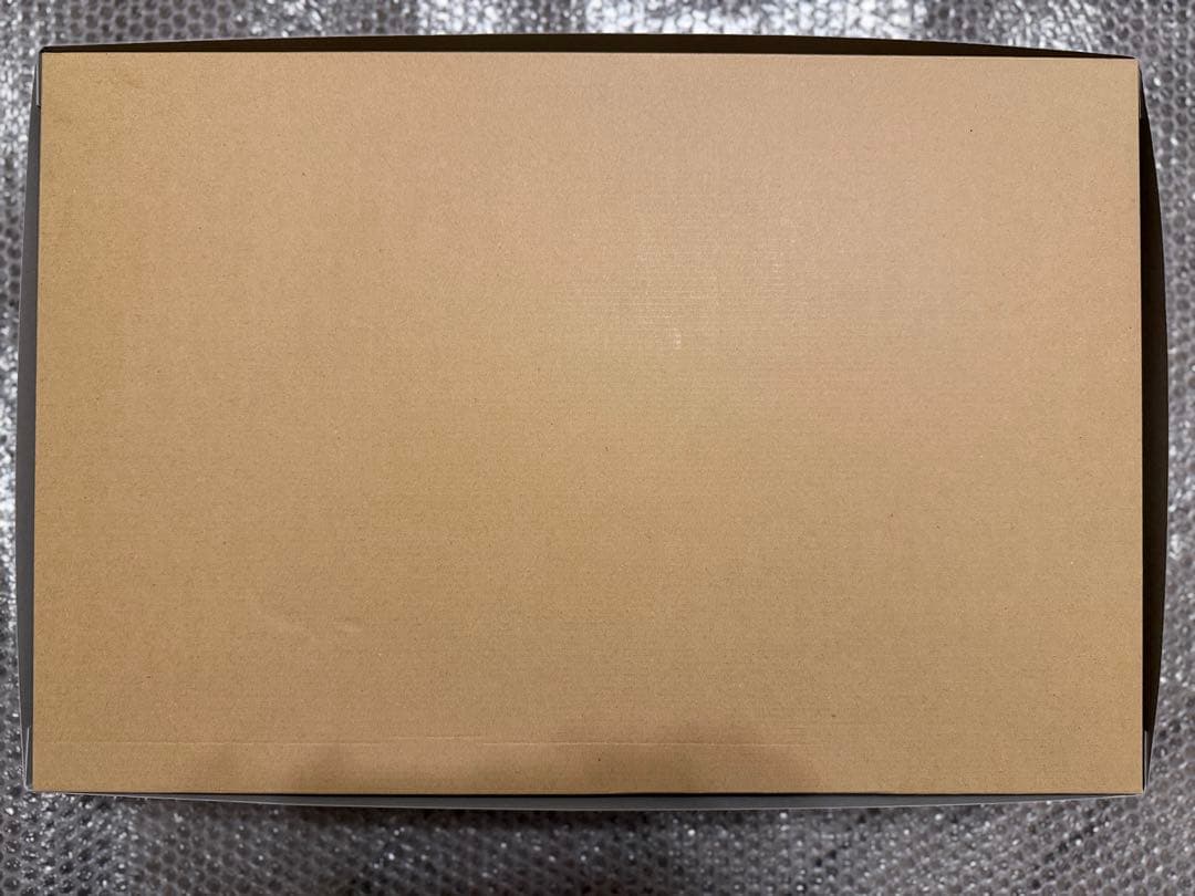 MG 1/100 高機動型ザク“サイコ・ザク” Ver.Ka サンダーボルト版