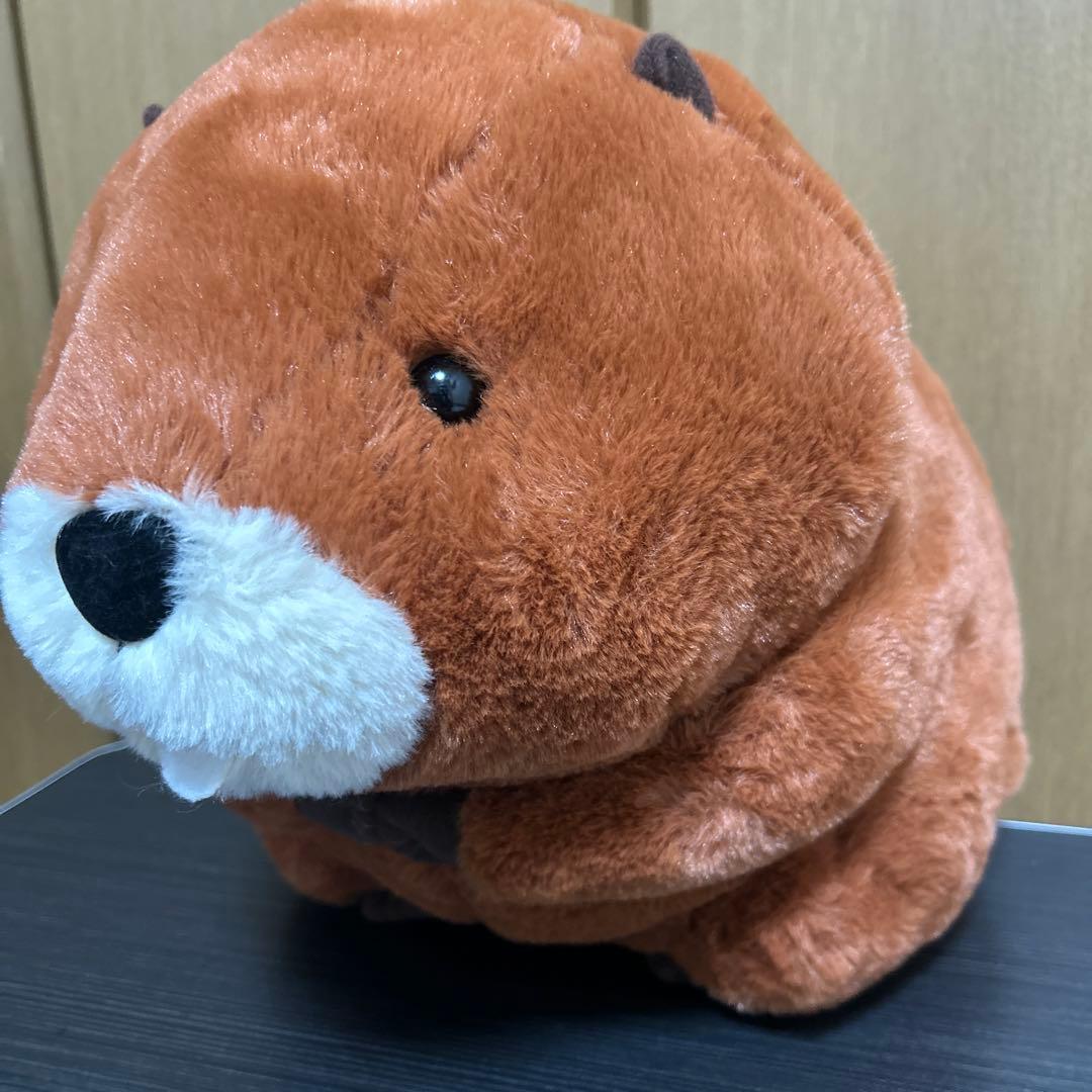 むっちりビーバーたっち ウルトラBIG 全3種類セット