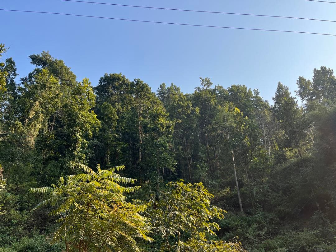 ソフトドリンク Mariko