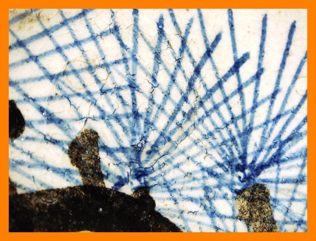 873『銹絵 松樹 鉢』乾山　/骨董品 古美術 古玩 アンティーク