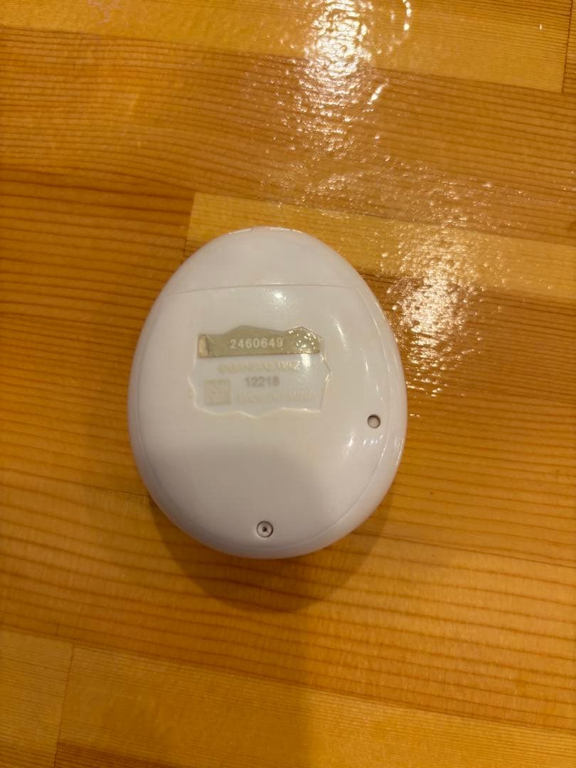 【早い者勝ち】　たまごっちみーつ