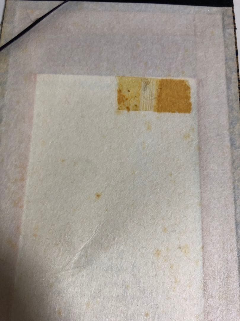 稀少時代物　浄土真宗・西本願寺派　上仕立絹本紙　脇侍6枚組　裏面銘入　紙焼有