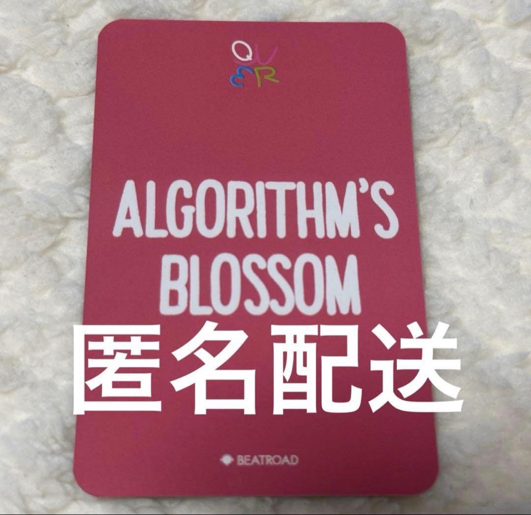 QWER Algorithms Blossom ヒナ トレカ ヨントン