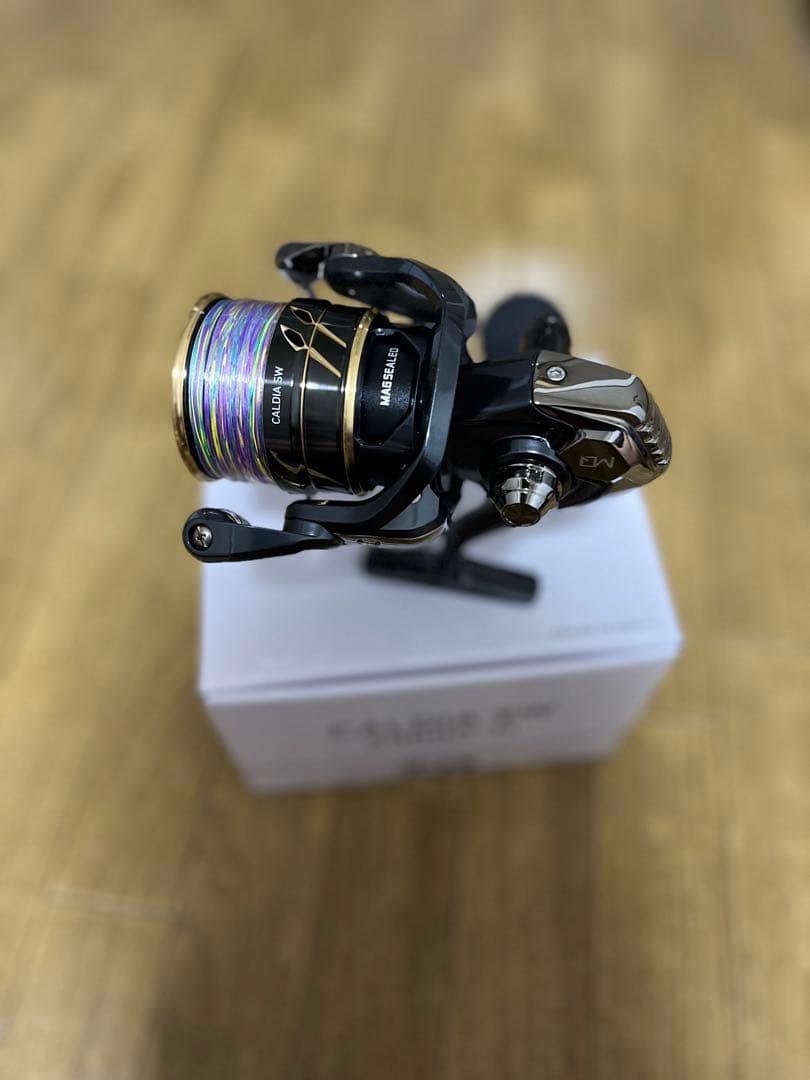 CALDIA SW 6000D-H （PE3号付き）