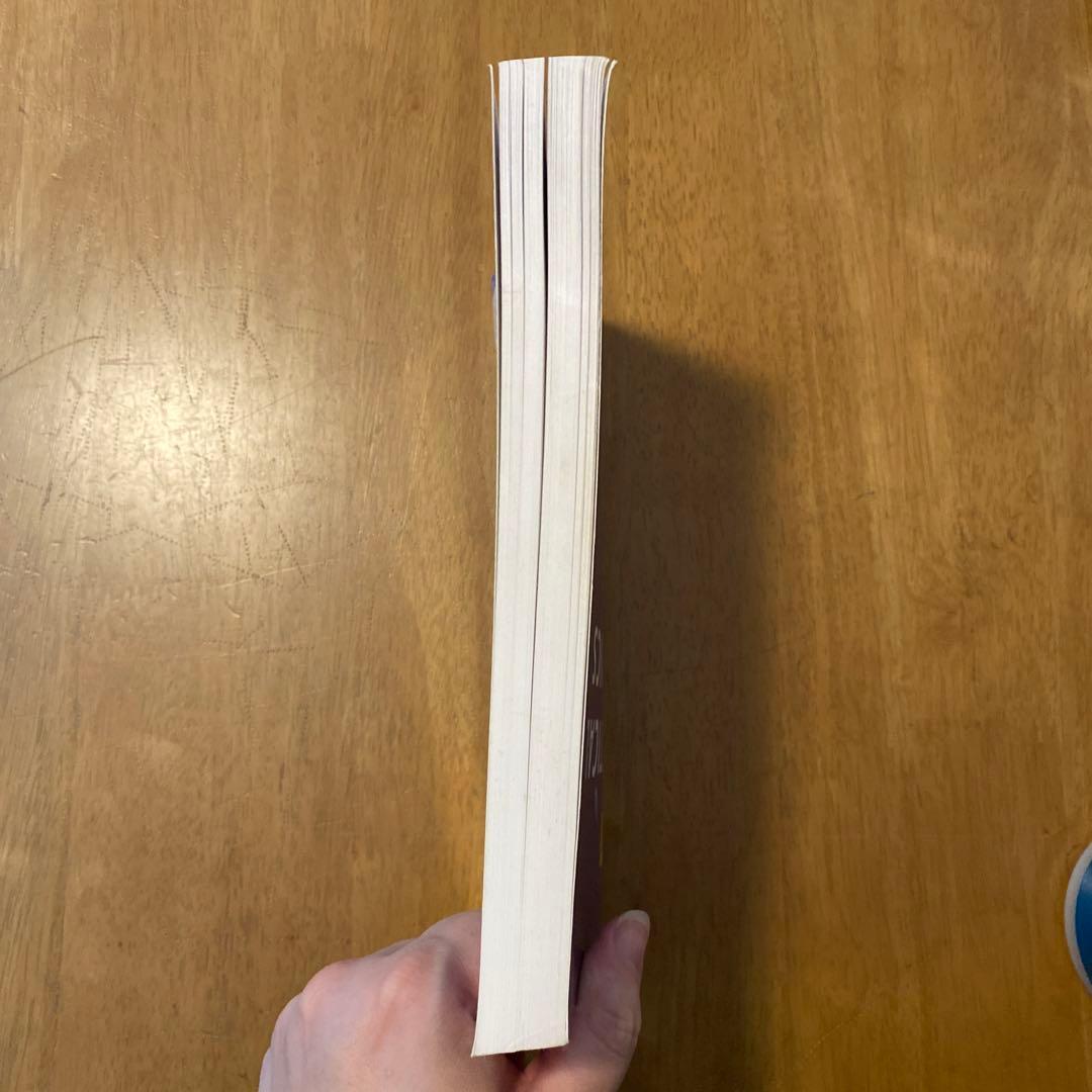 洋書 ELEMENTS OF STATISTICAL MECHANICS