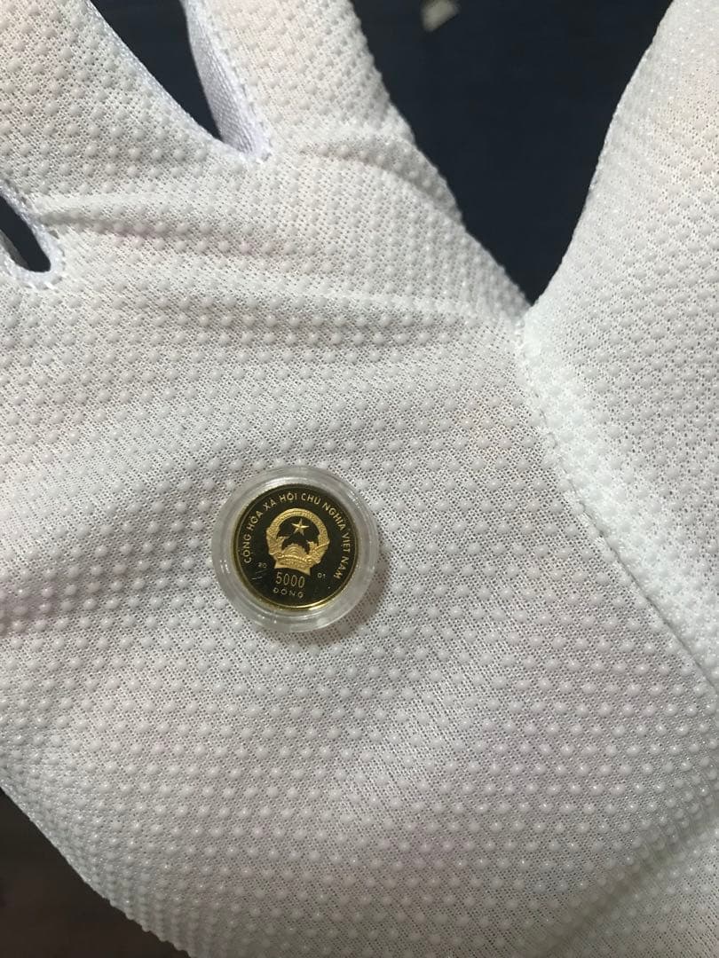 ベトナムドン　ベトナム 「巳年」5000ドン金貨　(セール中)