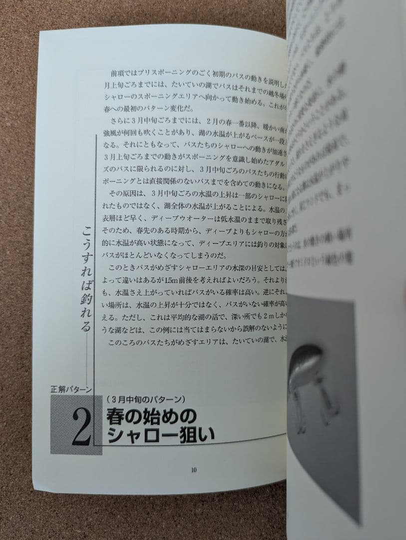 田辺哲男　バッシングパターンブック