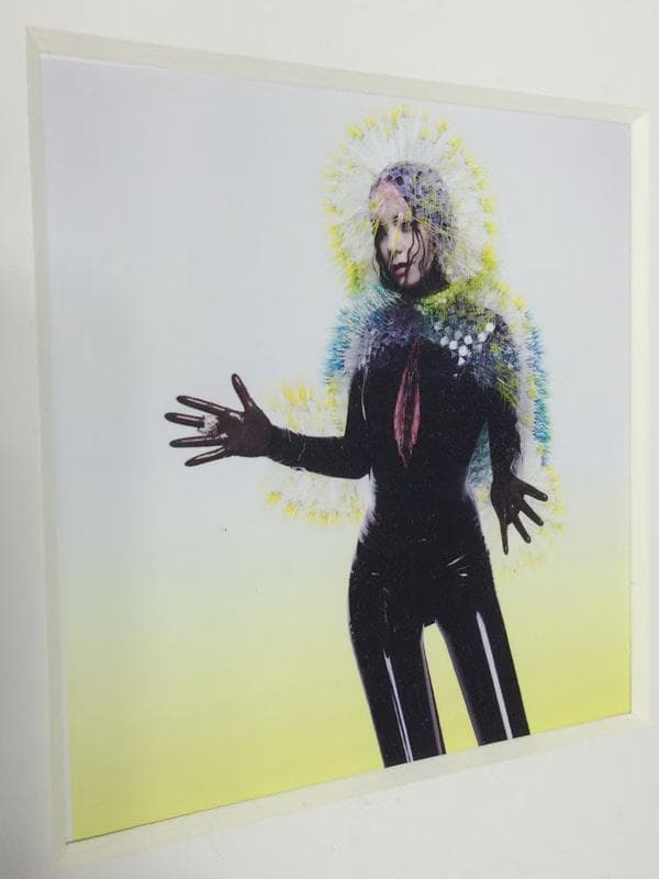 額装品/Bjork（ビョーク）/Vulnicura 2015年/インテリア