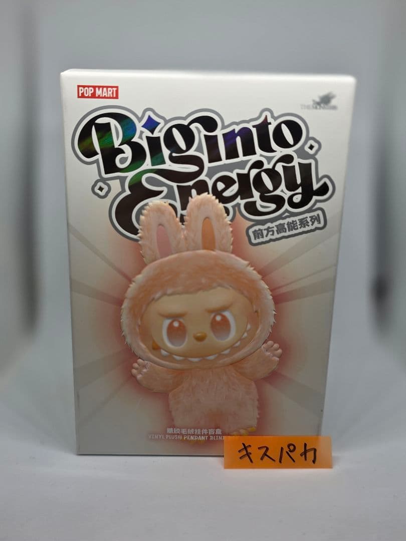 【超激レア未開封ラブブ】 Biginto Energy 特別な人にプレゼント