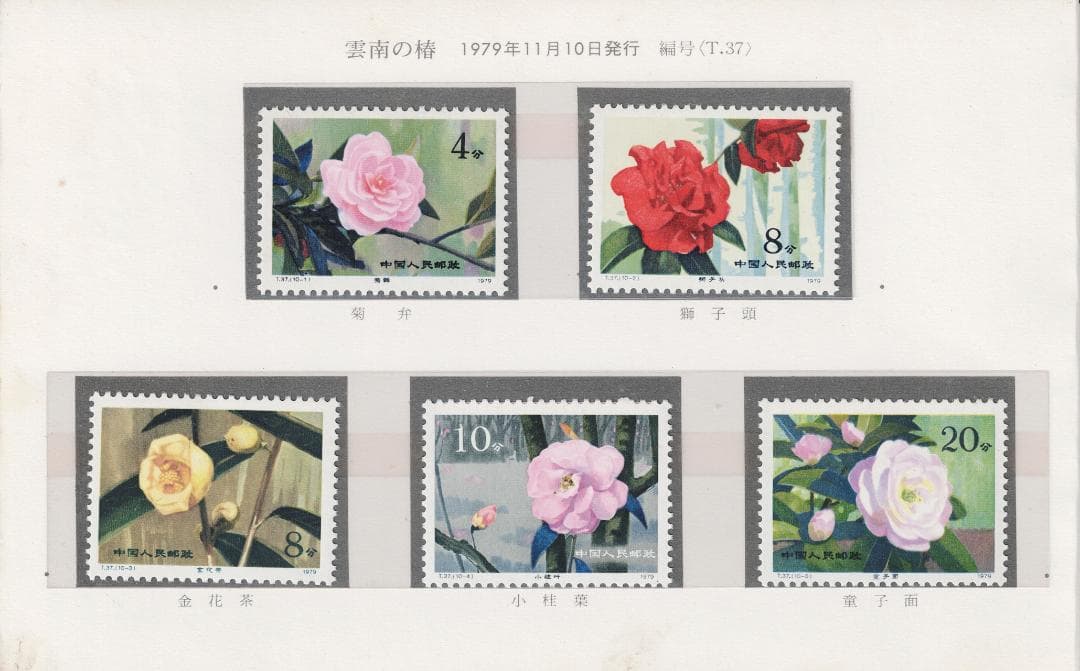 【中国切手】T37+T37m 雲南のツバキ10種セット＋小型シート（未使用NH）