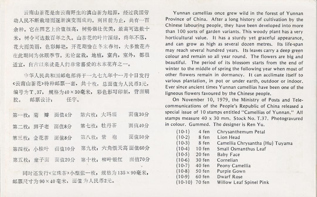 【中国切手】T37+T37m 雲南のツバキ10種セット＋小型シート（未使用NH）