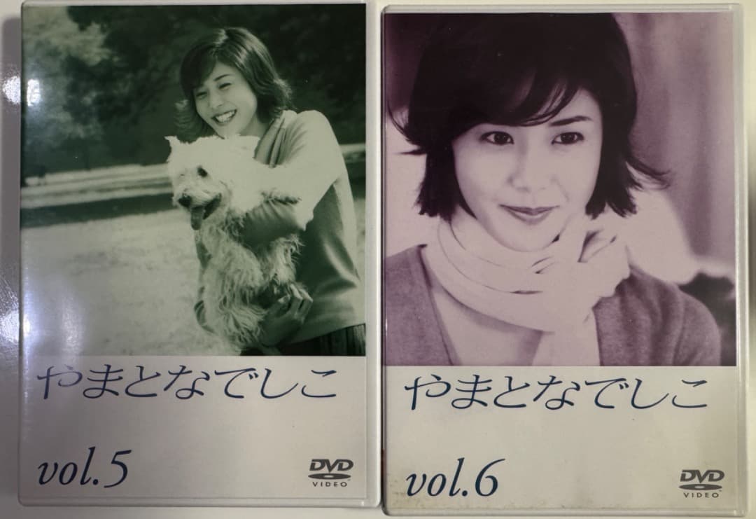 やまとなでしこ[DVD]　DVD-BOX