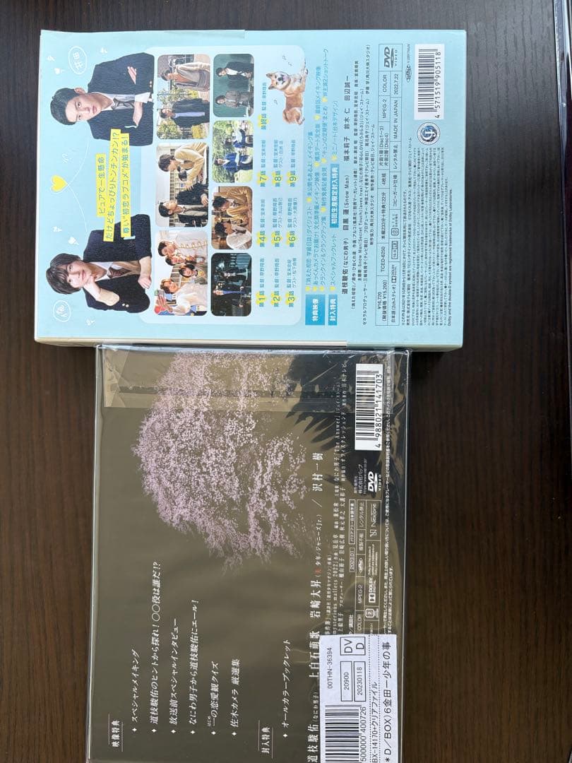 道枝駿佑主演 金田一少年の事件簿& 消えた初恋 セット