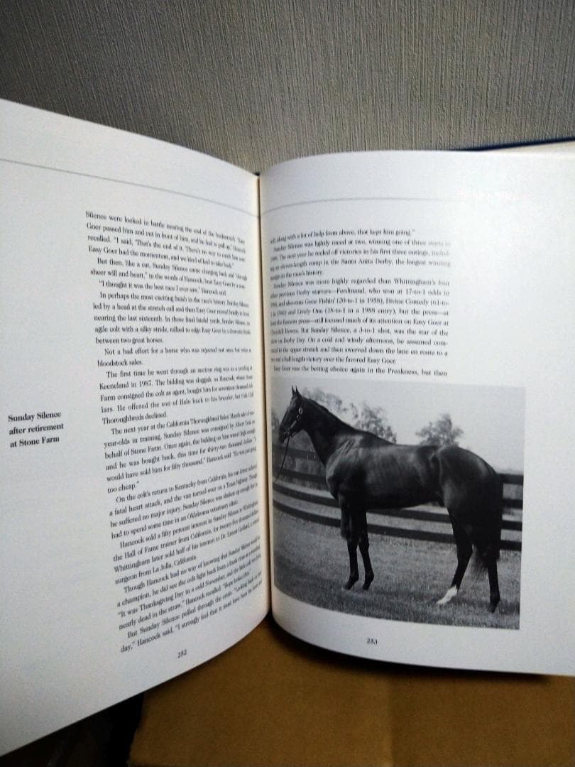  Blood 名馬 サンデーサイレンス ウマ娘