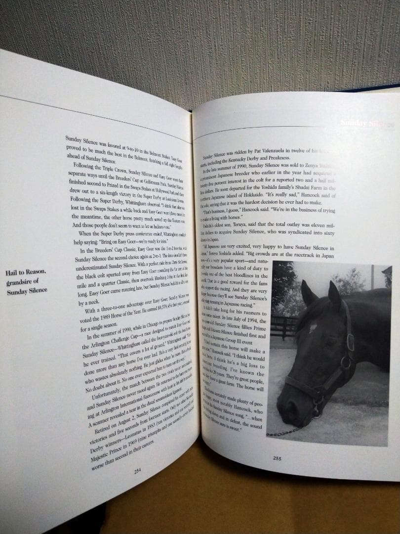  Blood 名馬 サンデーサイレンス ウマ娘