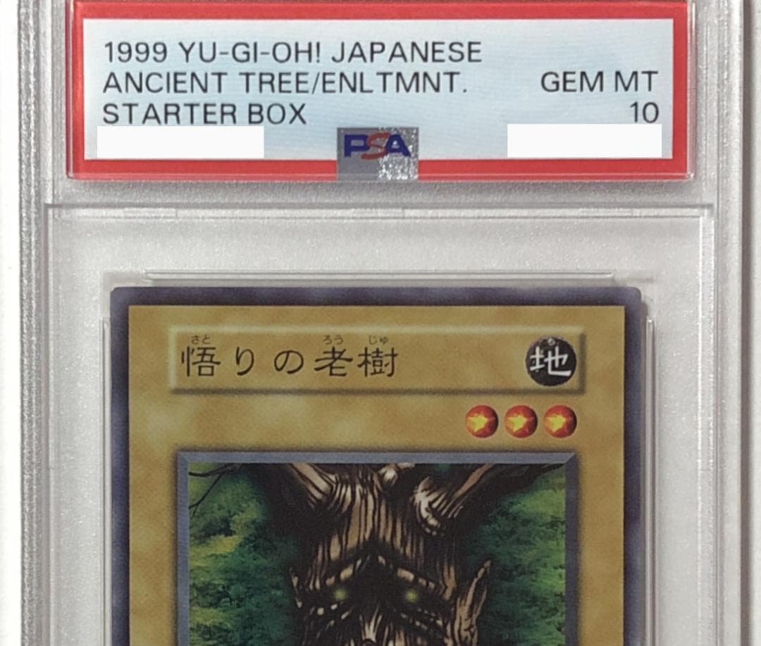 遊戯王 悟りの老樹 PSA10 初期 STARTER BOX【1999年物】
