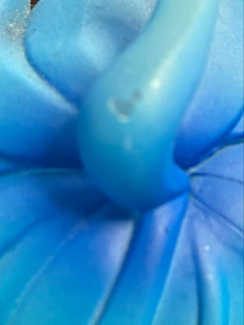 ねんどろいど ツイステ フィギュア イデア・シュラウド　1604