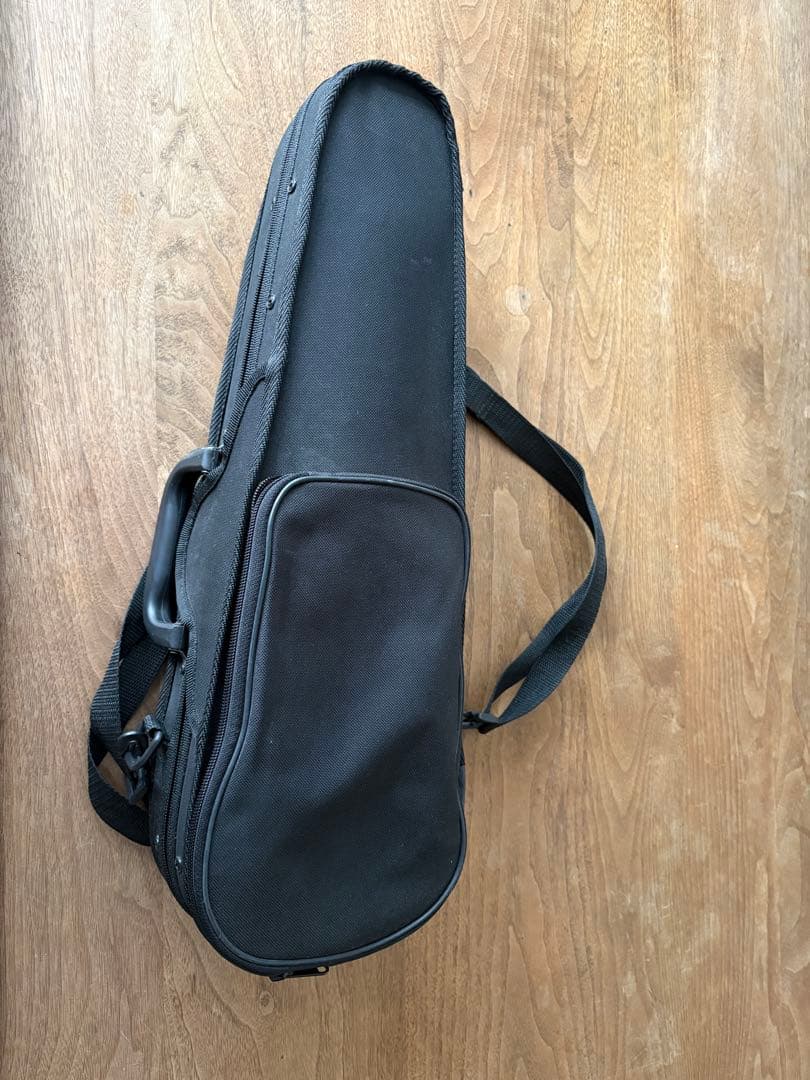 Reghin バイオリン　子供用　1/10サイズ