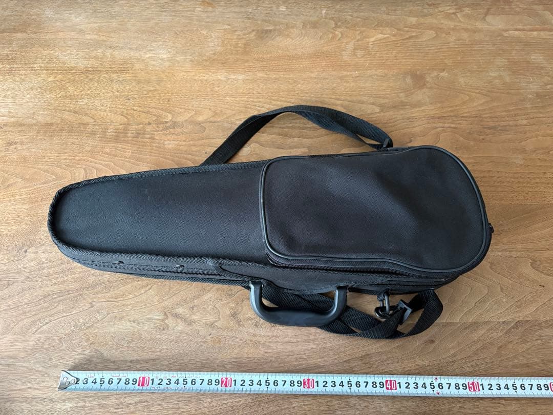 Reghin バイオリン　子供用　1/10サイズ