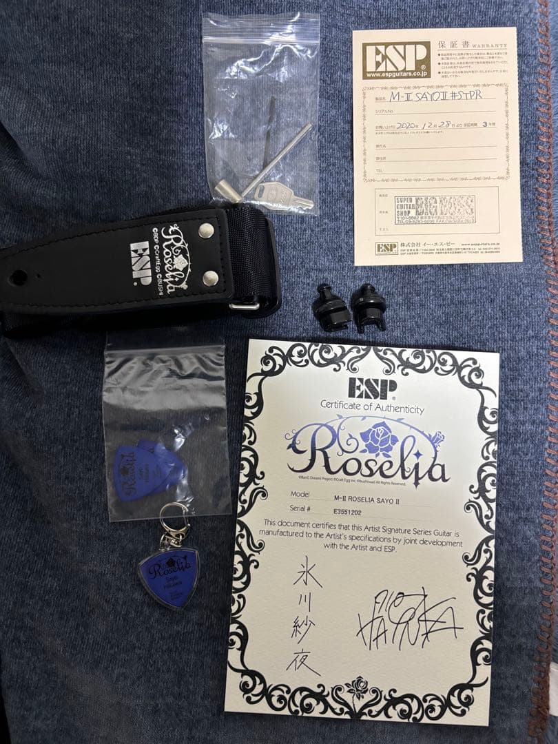 ギター Roselia ESP M-II SAYO II
