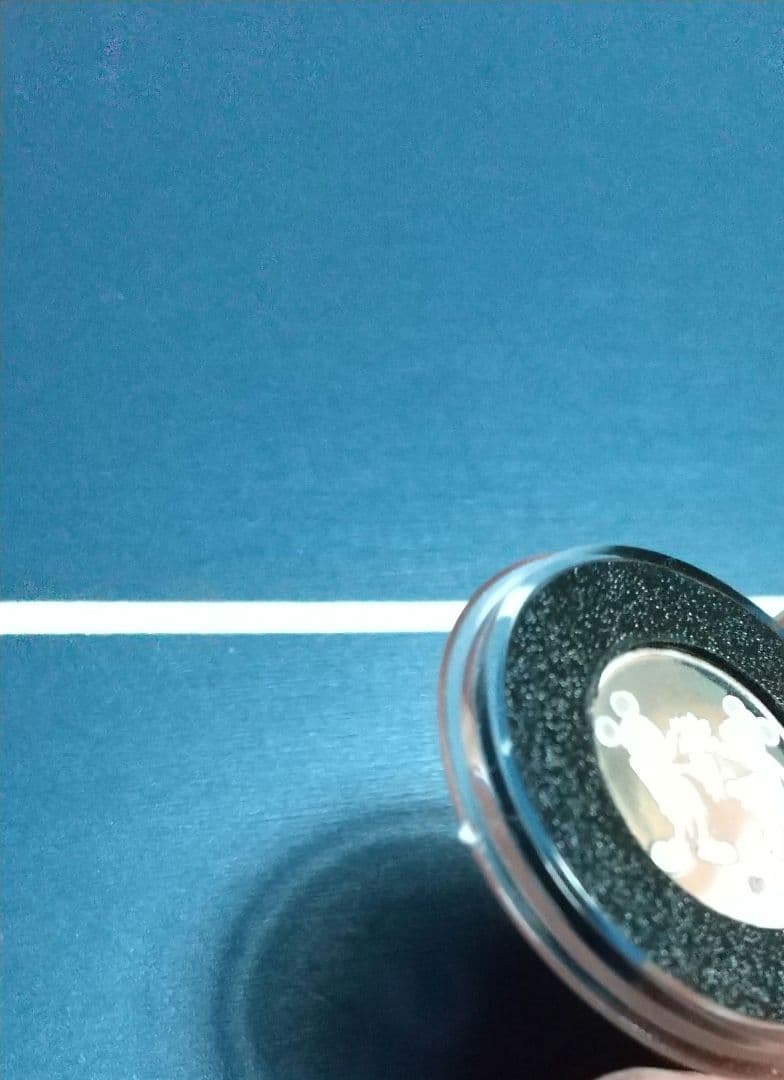 ディズニー シルバー メダル 1990 匿名配送