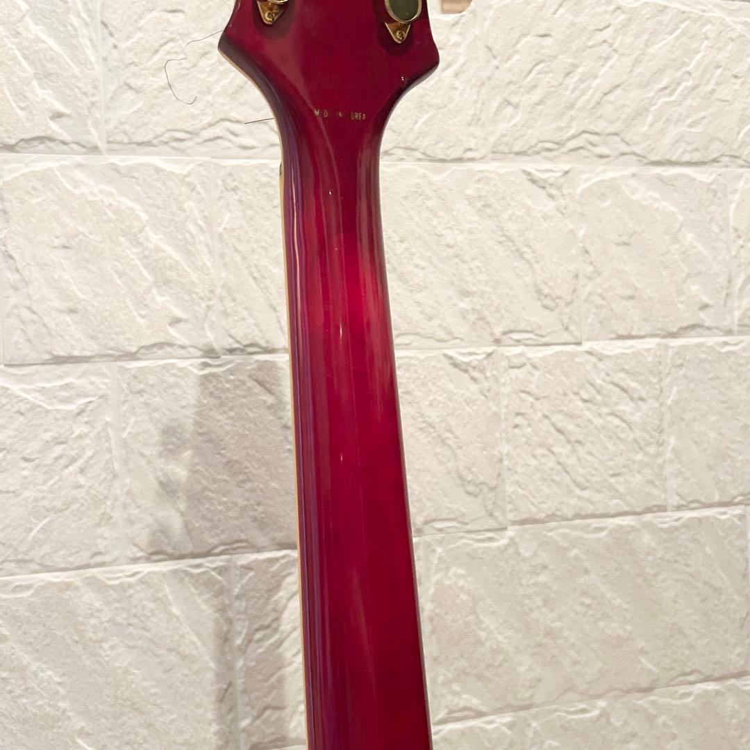 Aria ProII PE-DLX Electric Guitar エレキギター