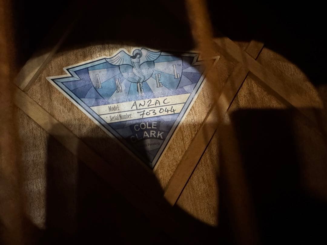 ★Cole Clark AN2AC★