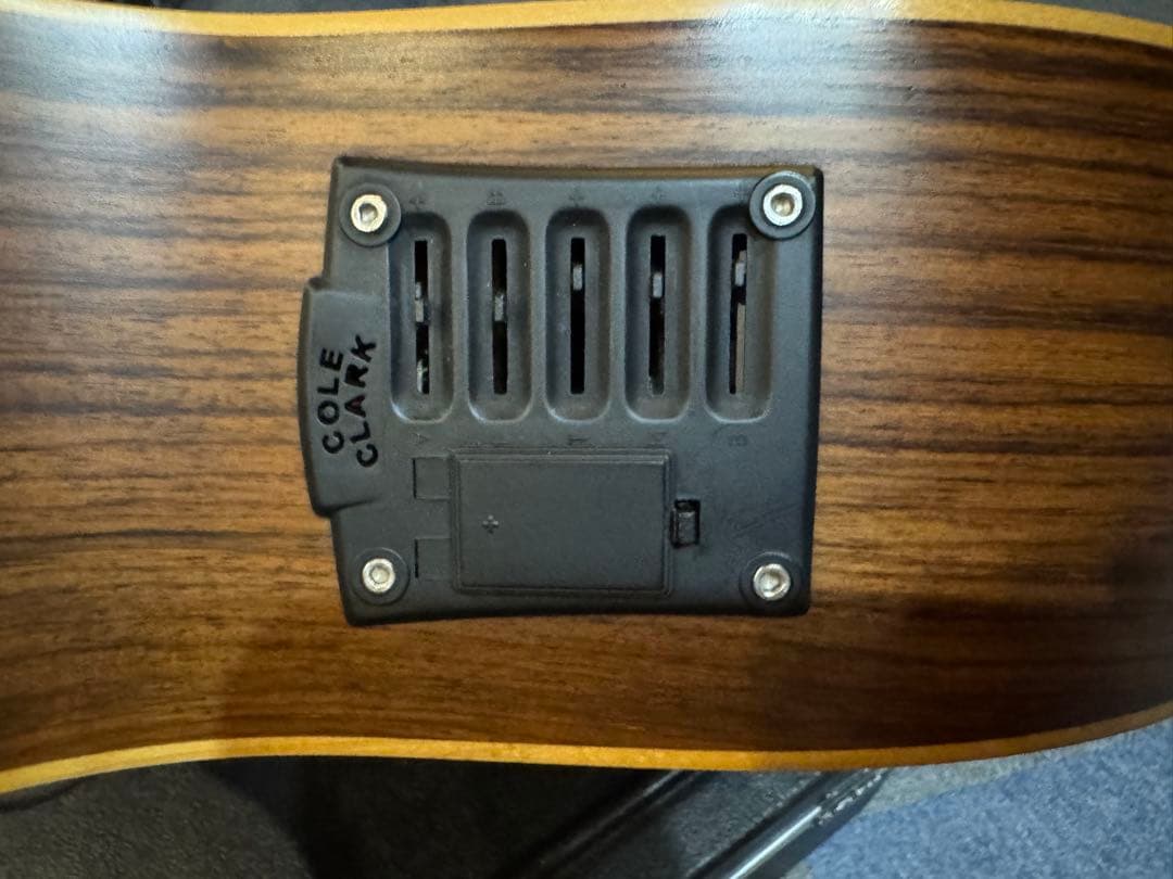 ★Cole Clark AN2AC★