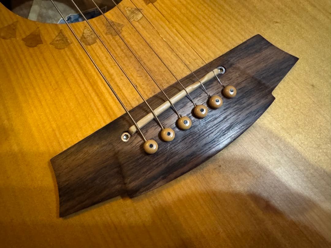 ★Cole Clark AN2AC★