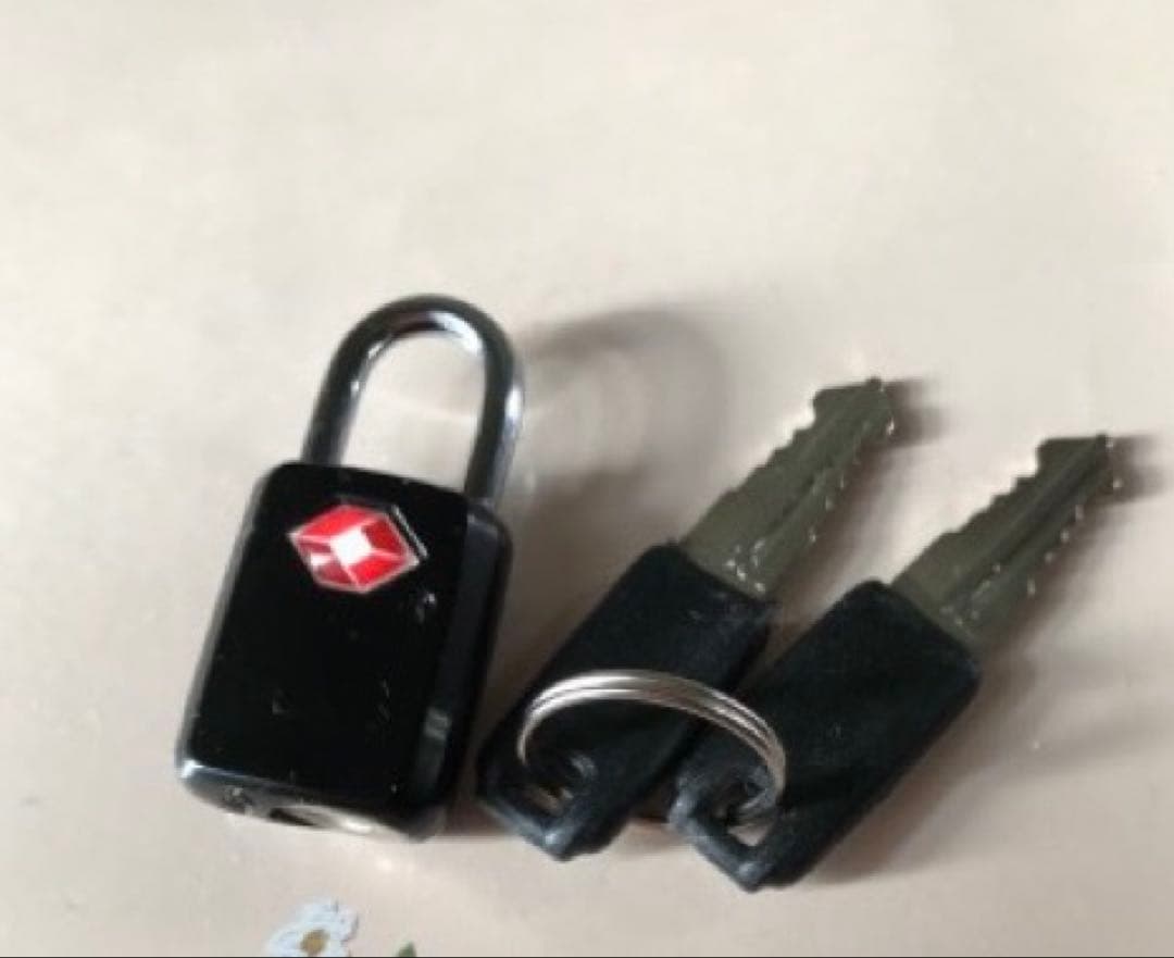 Samsonite ネイビー キャリーカート