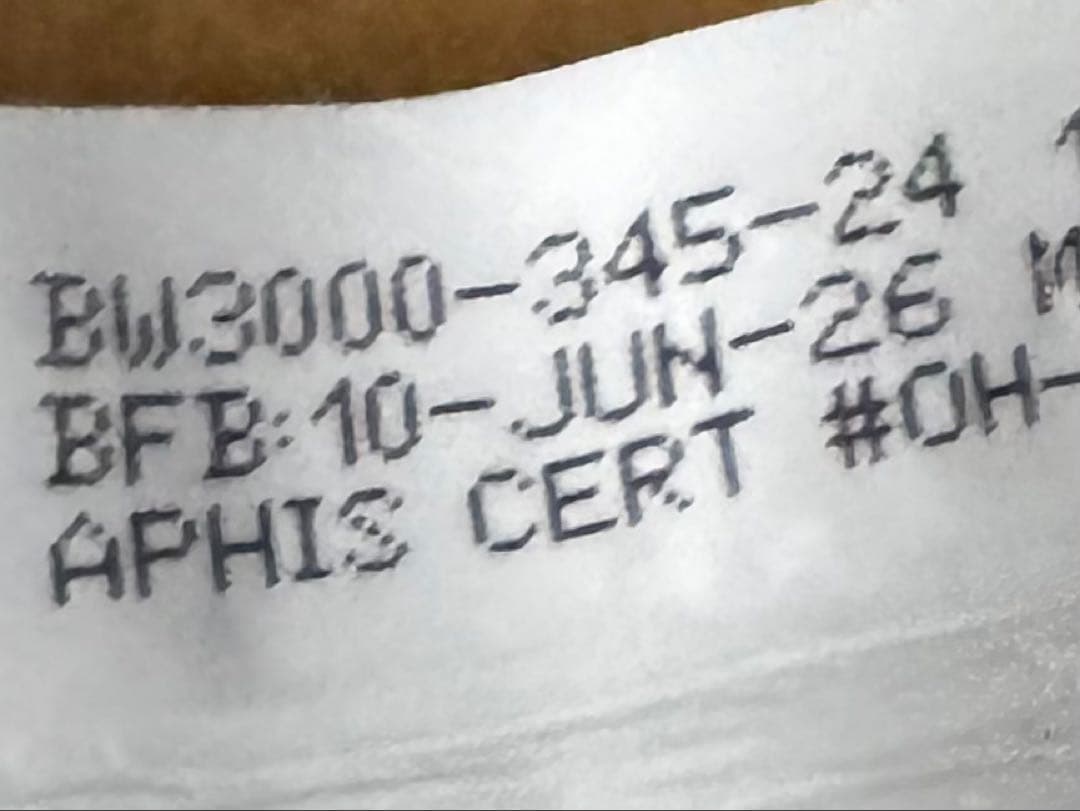 ブラックウッドBLACKWOOD【なまず】20kg