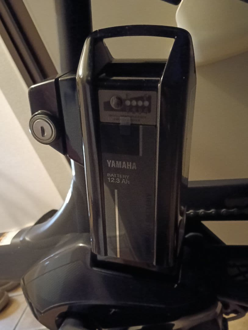 電動アシスト自転車 チャイルドシート付き