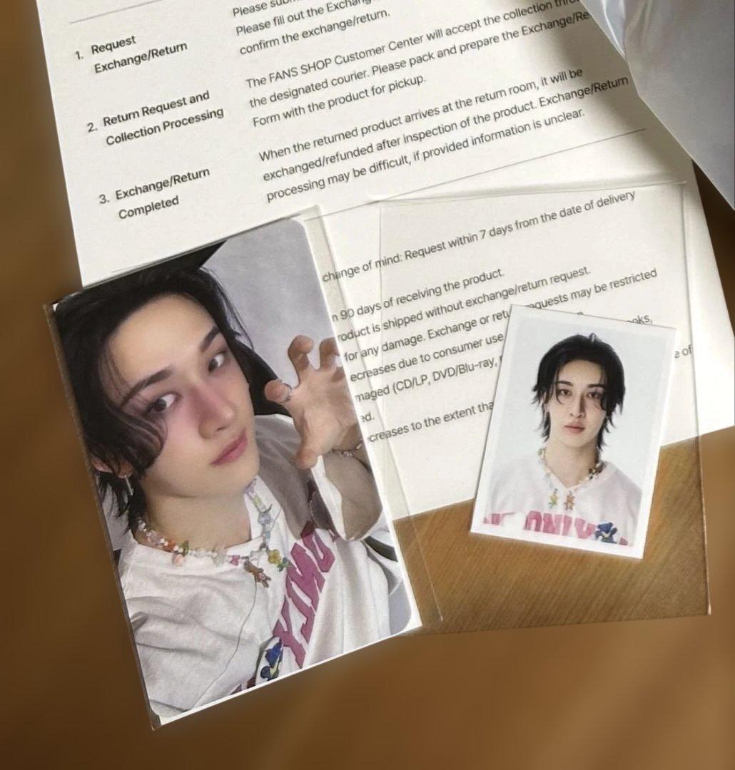 straykids SKZOO PLUSH BAG ウルフチャン リアルタッチ