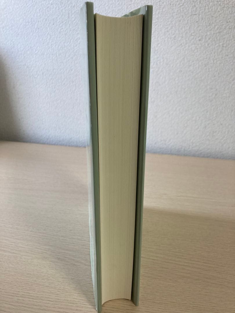 A Grammar of ABKHAZ 柳沢民雄　ひつじ書房