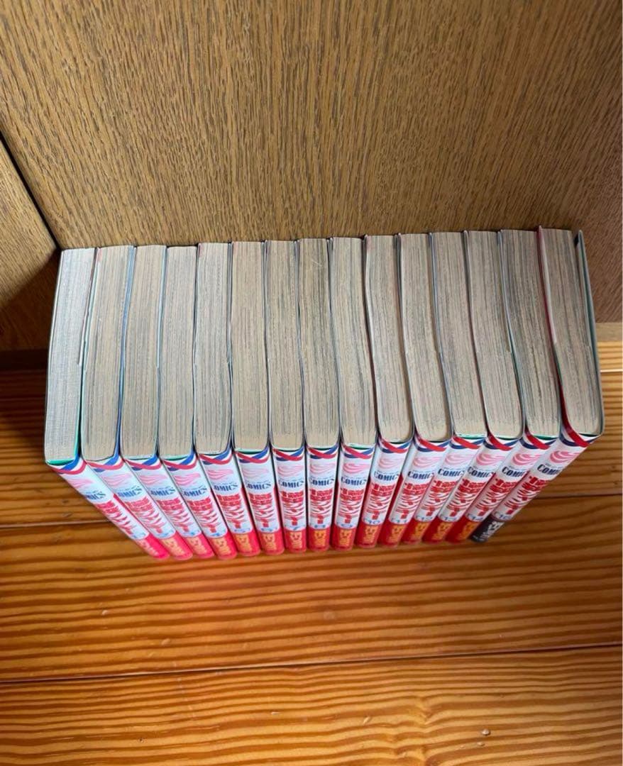 悩殺ジャンキー　福山リョウコ