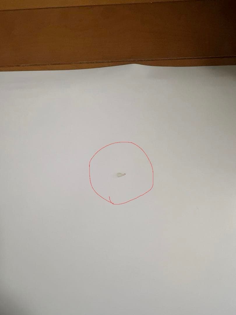 メルティブラッド タイプルミナ B2ポスター