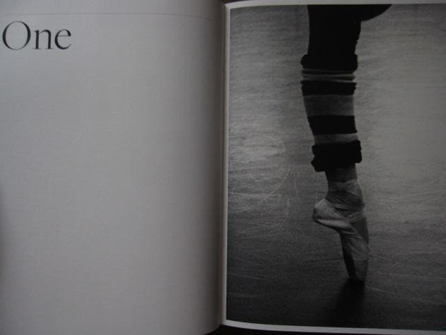 アート・デザイン・音楽 Photographs of the New York City Ballet