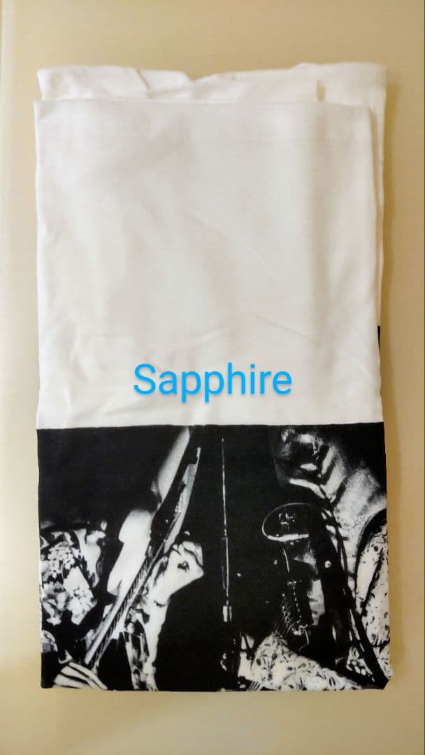 JOY-POPS HARRY&蘭丸 PHOTO-Tee ストリートスライダーズ