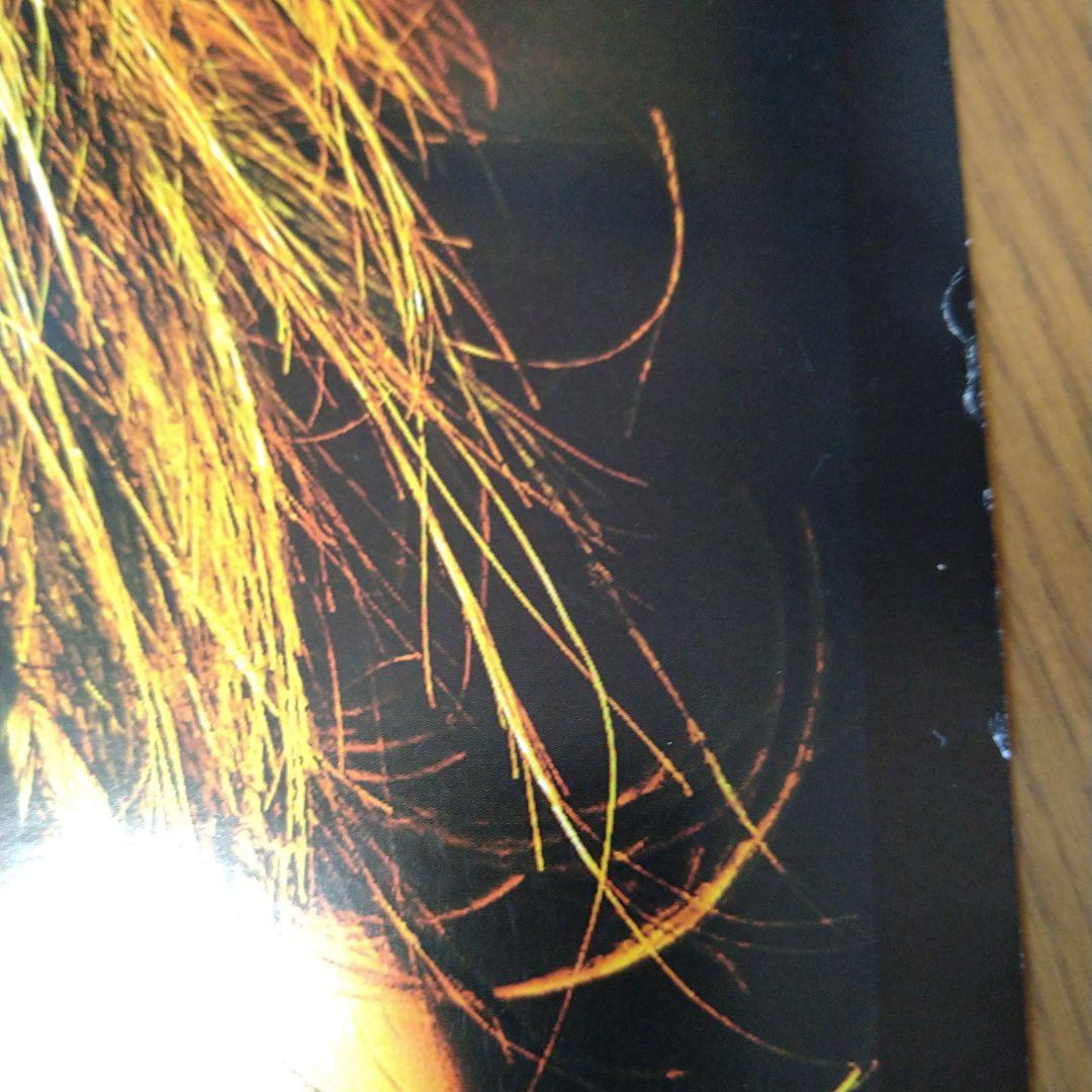 the GazettE 葵 ジェムケリー ポスター V系 ヴィジュアル系