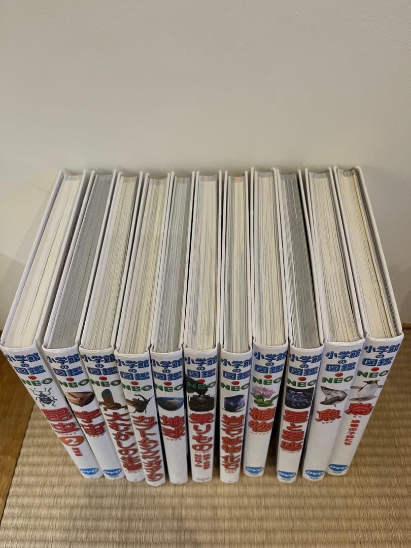 小学館の図鑑NEO 11巻セット